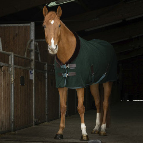 Equithème Teddy Collar Cooler