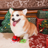 Christmas Holiday Plush Dog Toy Pack