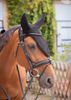 Paddock Sports Silent Tie-Down Bonnet