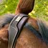 Blissful Oxford Wide Hunter Bridle