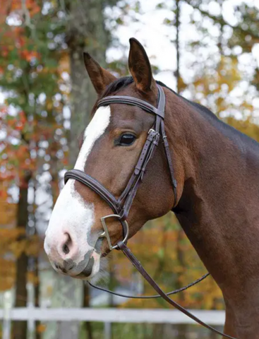 Shires Ocala Bridle