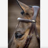 LeMieux Kudos Competition Flash Bridle