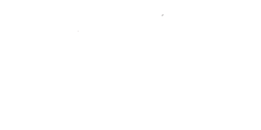 The Carrington Shoppe