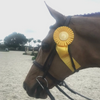 Easy-Off Standing Martingale