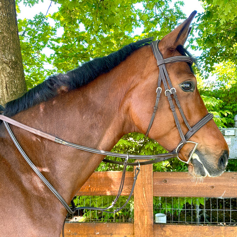 Blissful Wesley Fancy Stitch Running Martingale