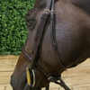 Easy-Off Standing Martingale