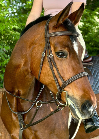 Blissful Wesley Fancy Stitch Running Martingale