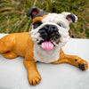 Custom Made Pet Sculptures