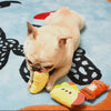 Taco Party Dog Toy Pack
