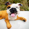 Custom Made Pet Sculptures
