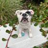 Custom Made Pet Sculptures