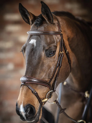 LeMieux Kudos Competition Flash Bridle