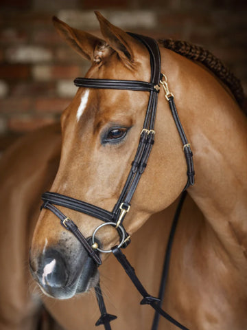 LeMieux Work Bridle