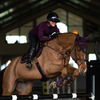 Equestrian Stockholm Black Raven Jump