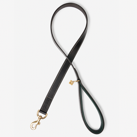 LeMieux Windsor Leather Dog Lead - Hunter Green