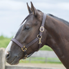 Bromont Padded Halter with Brass Hardware