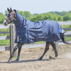 Canadian Horsewear Hurricane Turnout -160g