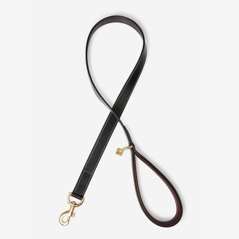 LeMieux Windsor Leather Dog Lead - Chocolate