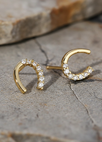 Golden Crystal Horse Shoe Earrings