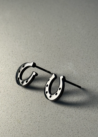 Stainless Steel Lucky Horse Shoe Earrings