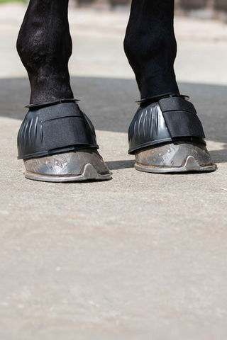 QHP Rubber Bell Boots with Velcro