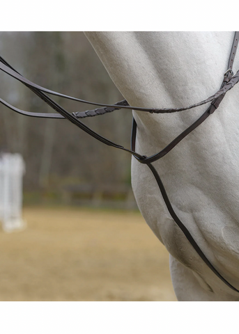 Avignon Standing Martingale