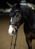 Equestrian Stockholm Soundless Ear Bonnet Black Silver