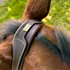Blissful Oxford Classic Fancy Stitch Bridle