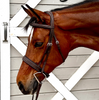Blissful Oxford Wide Hunter Bridle