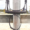 Wesley Taper Fancy Stitch Bridle with Flash