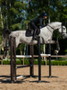 Equestrian Stockholm All Black Glimmer Jump