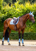 Equestrian Stockholm Modern Midsummer Blue
