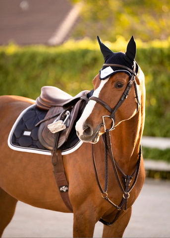 Equestrian Stockholm Midnight White Edge Jump Pad