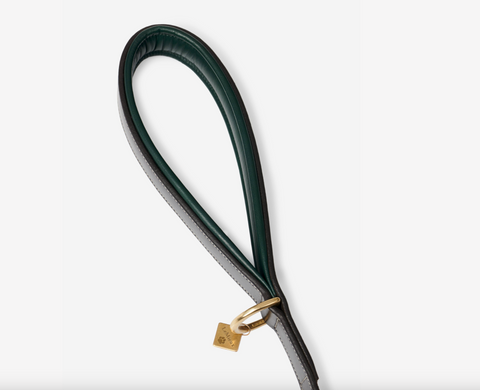 LeMieux Windsor Leather Dog Lead- Hunter Green