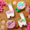 Blissful No Drama Llama Cookie 4 pack
