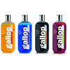 Gallop Shampoo