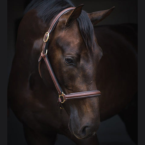 Jacson Cancun Leather Halter