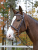 Shires Ocala Bridle