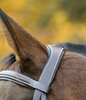 Shires Ocala Bridle