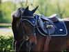 Equestrian Stockholm Midnight Bonnet