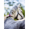 LeMieux Flexi Goats Hair Body Brush