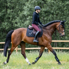 Equestrian Stockholm Total Eclipse Jump Pad