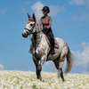 Equestrian Stockholm Amaranth Jump Pad