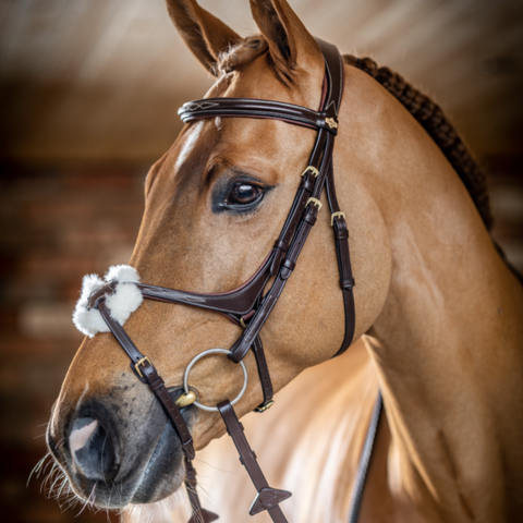 LeMieux Figure Eight Bridle