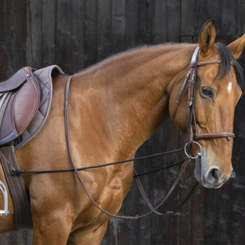 Norton Elastic Training Reins