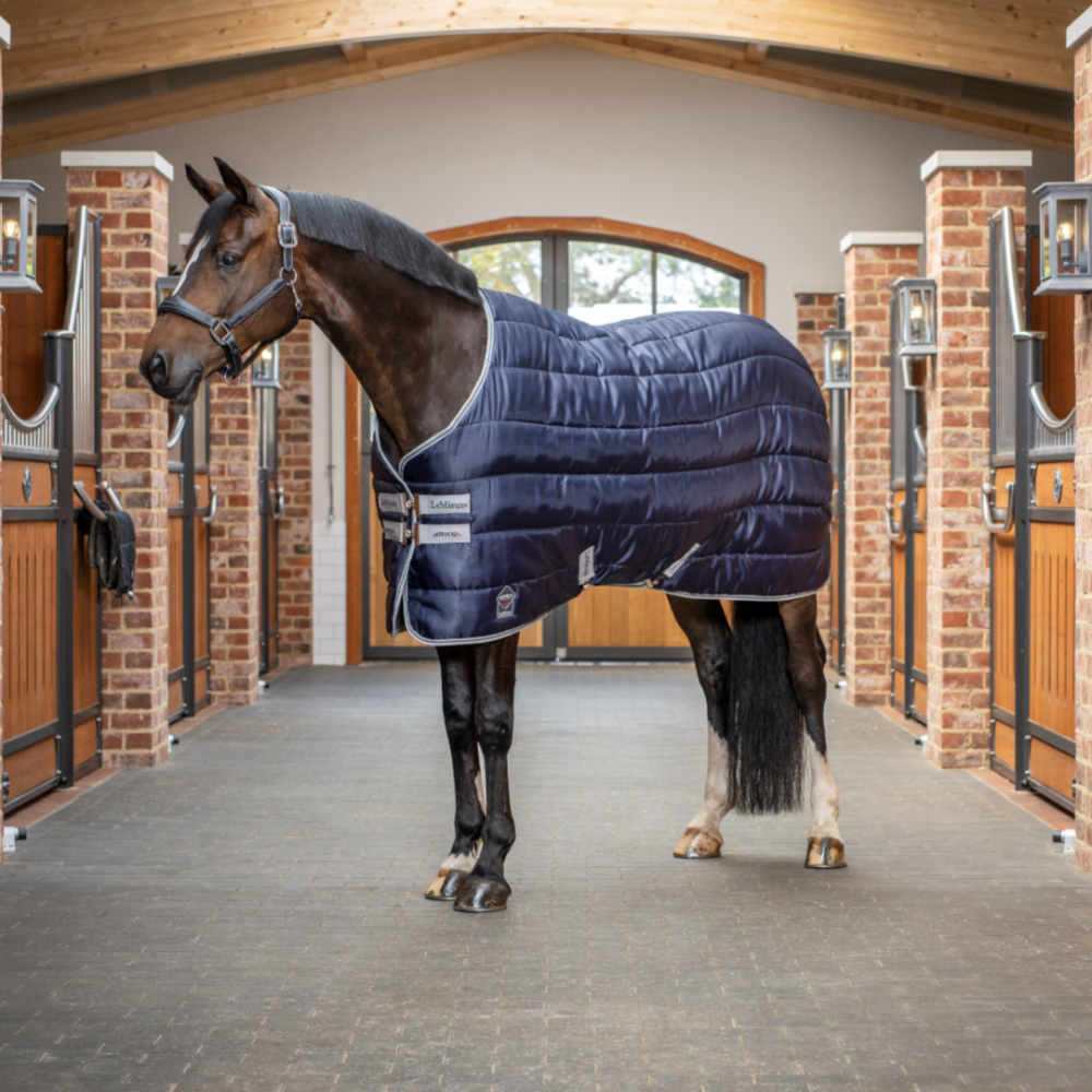 LeMieux Arika Stable Blanket 100g