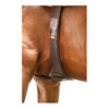 Schockemohle Portland Anatomical Girth