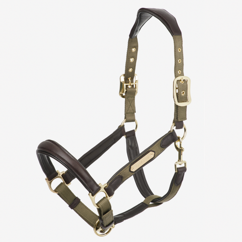 LeMieux Capella Halter - Forest