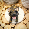Custom Made Pet Sculptures